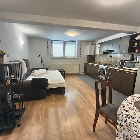 Apartment Park Brasov